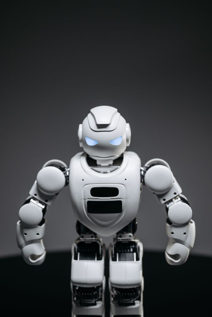 The Only 3 Premium AI Tools Worth Paying For as a Solo Content Creator (I Wasted Money on 11 Others First)